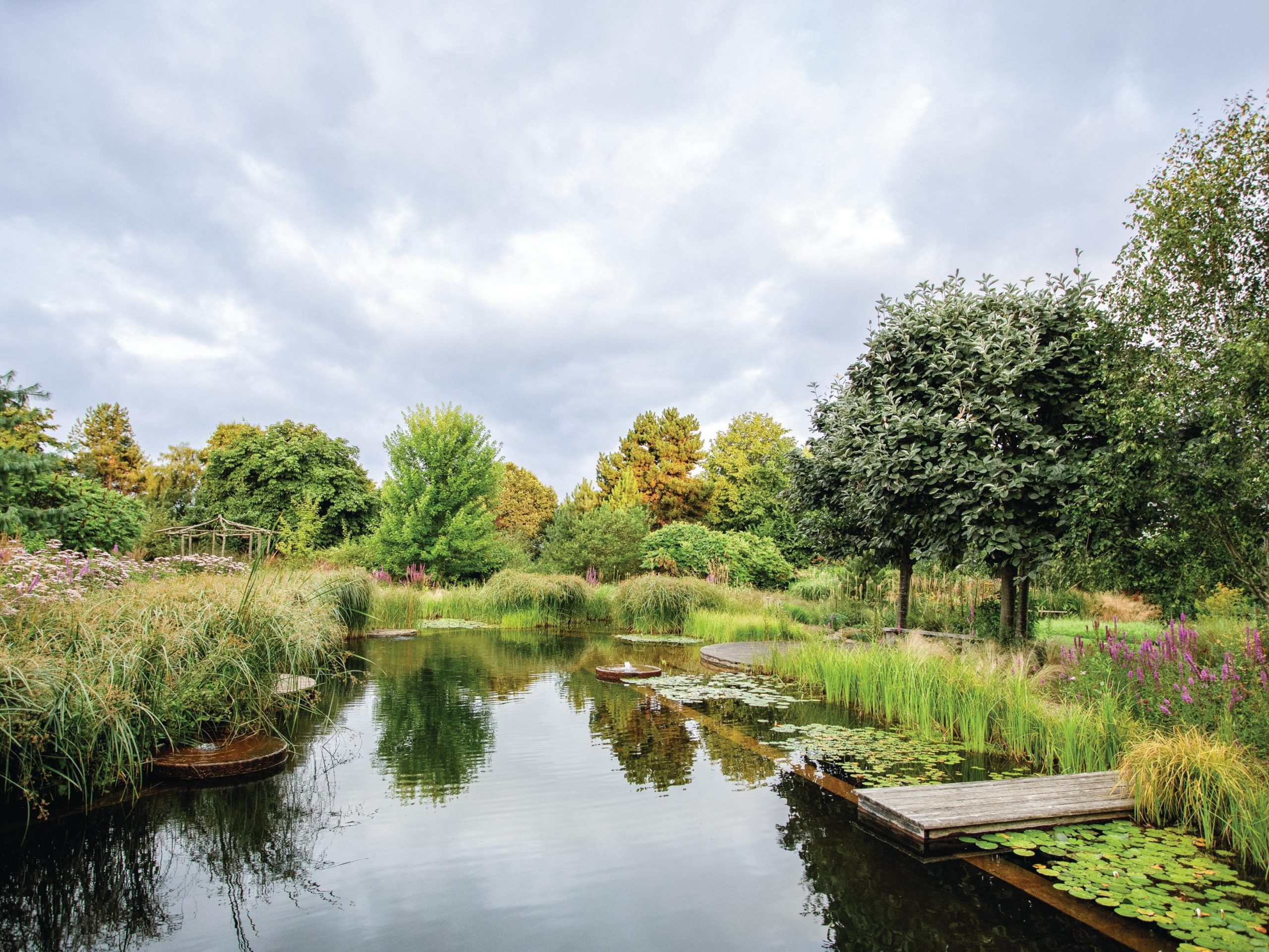 Swimming pond in garden