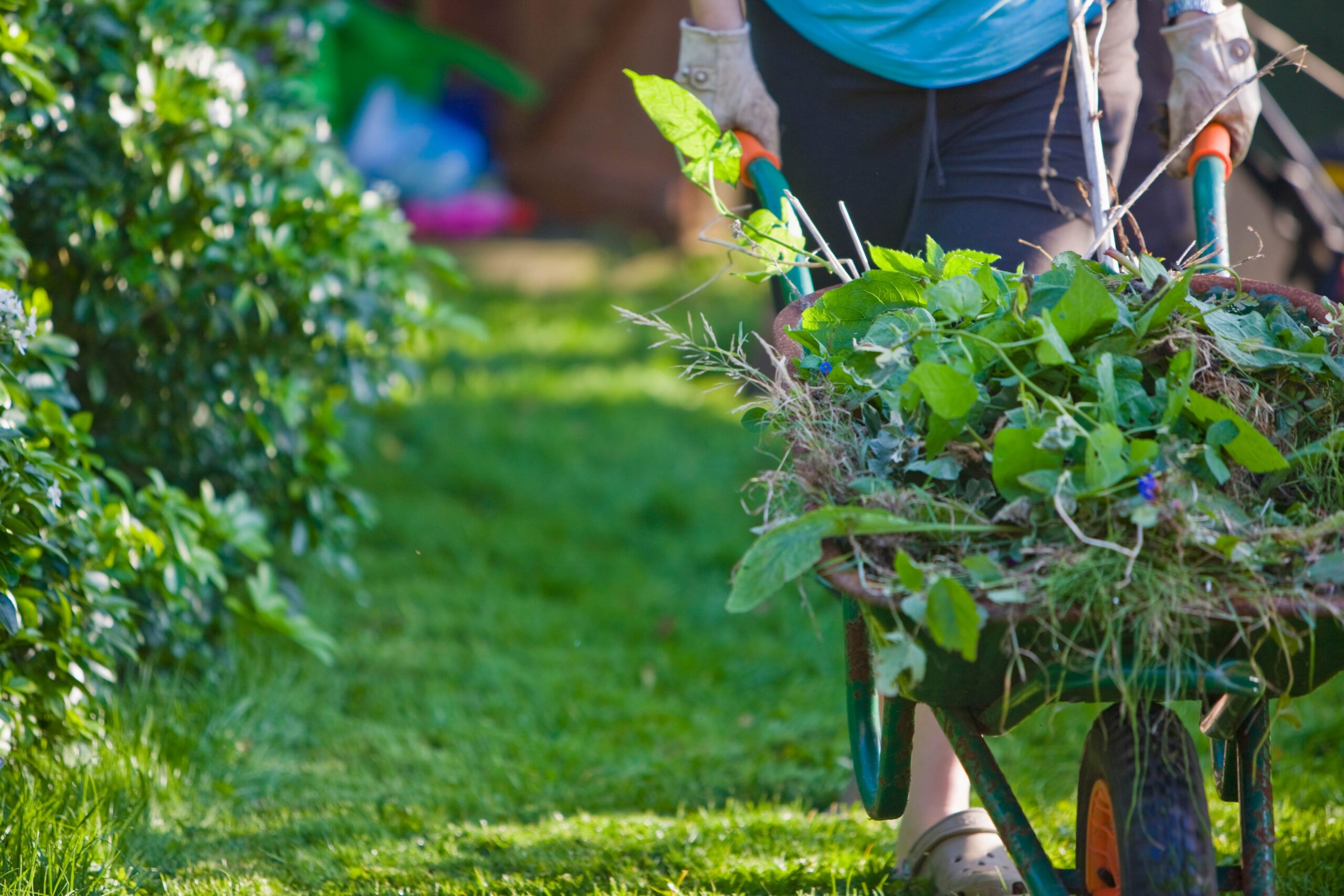 Tidying the garden