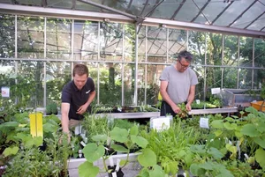 Nurserymen at EdibleCulture Nurserymen at EdibleCulture