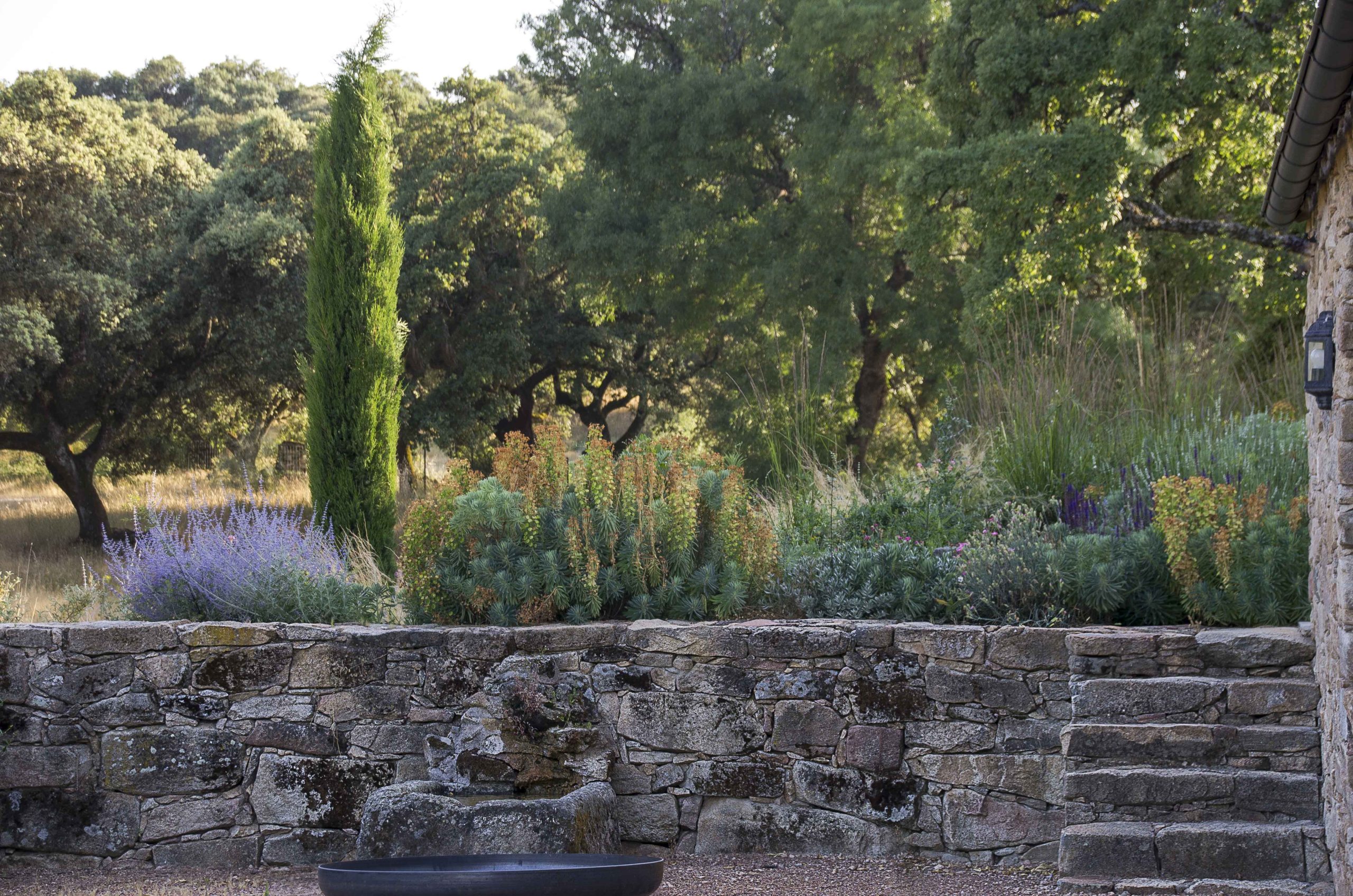 In this garden by Locus Landscape, Mediterranean planting is used to suit the garden conditions.