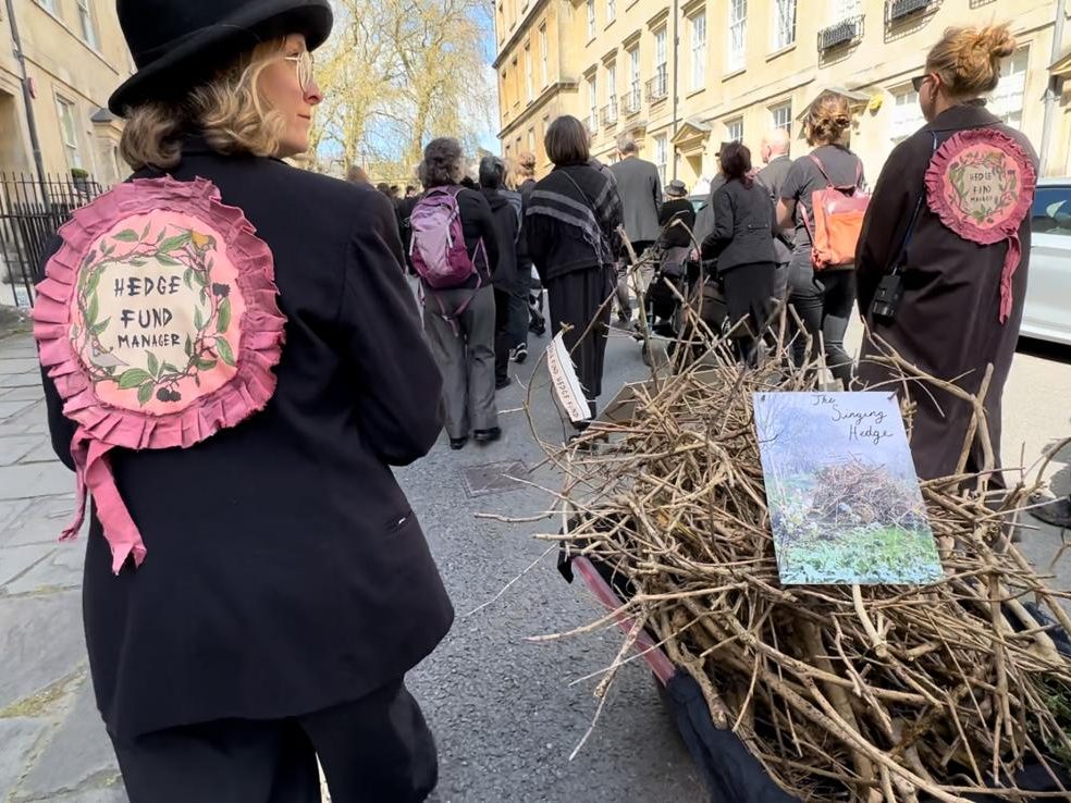 People carrying a hedge