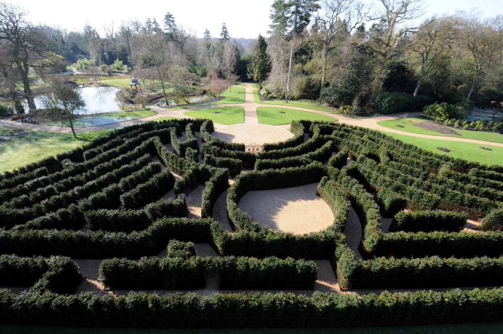 Yew hedge maze with fences at Cliveden Yew hedge maze with fences at Cliveden