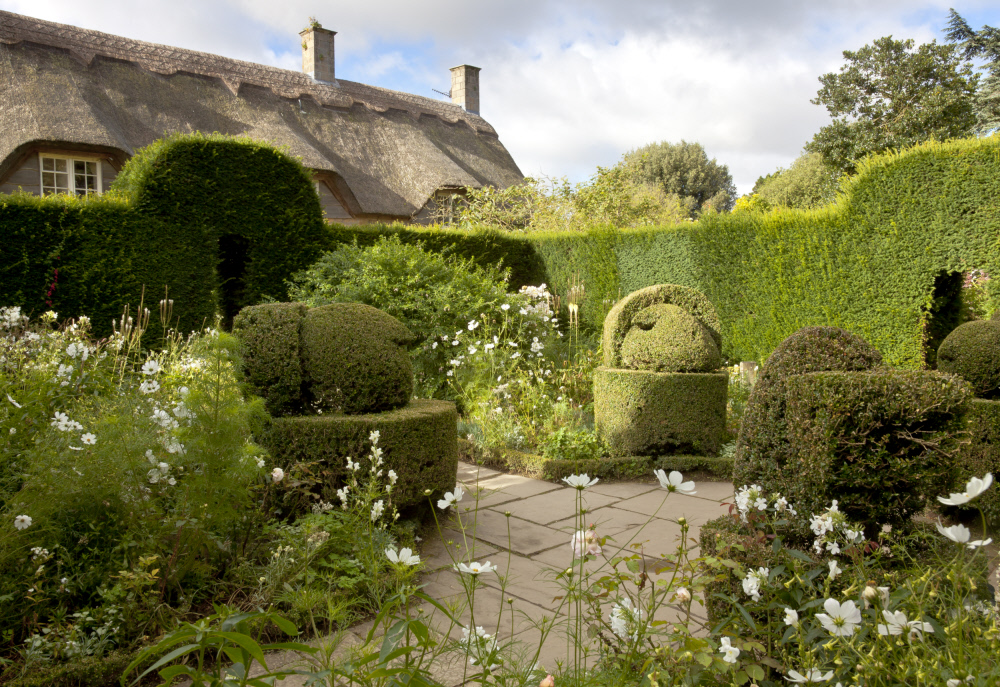 White Garden at Hidcote