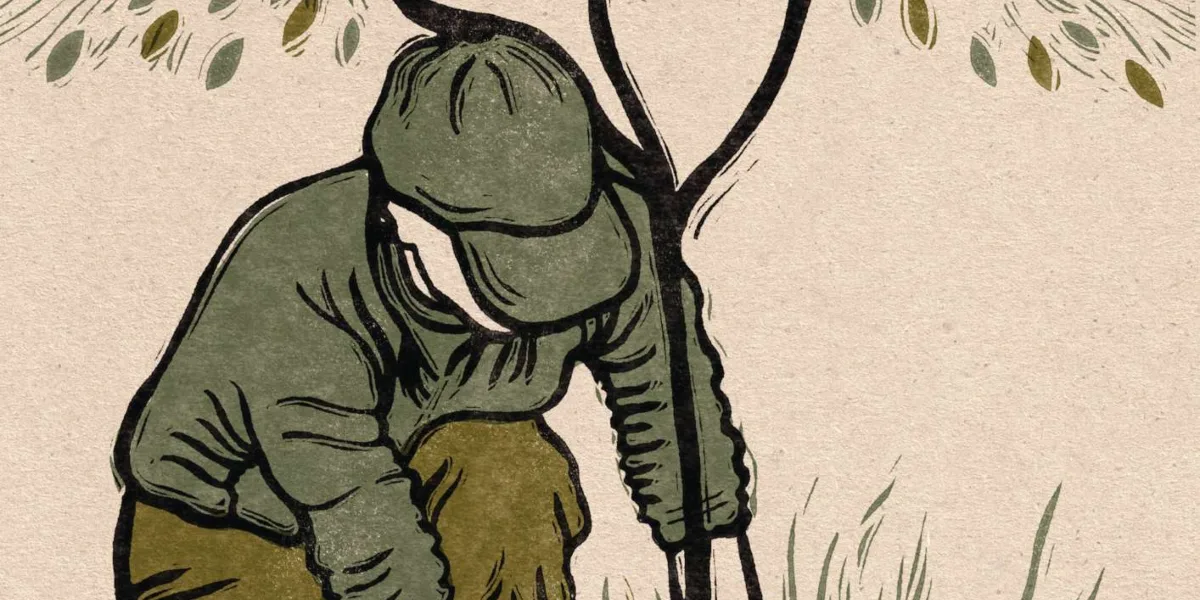 Rosanna Morris illustration Gardener illustration