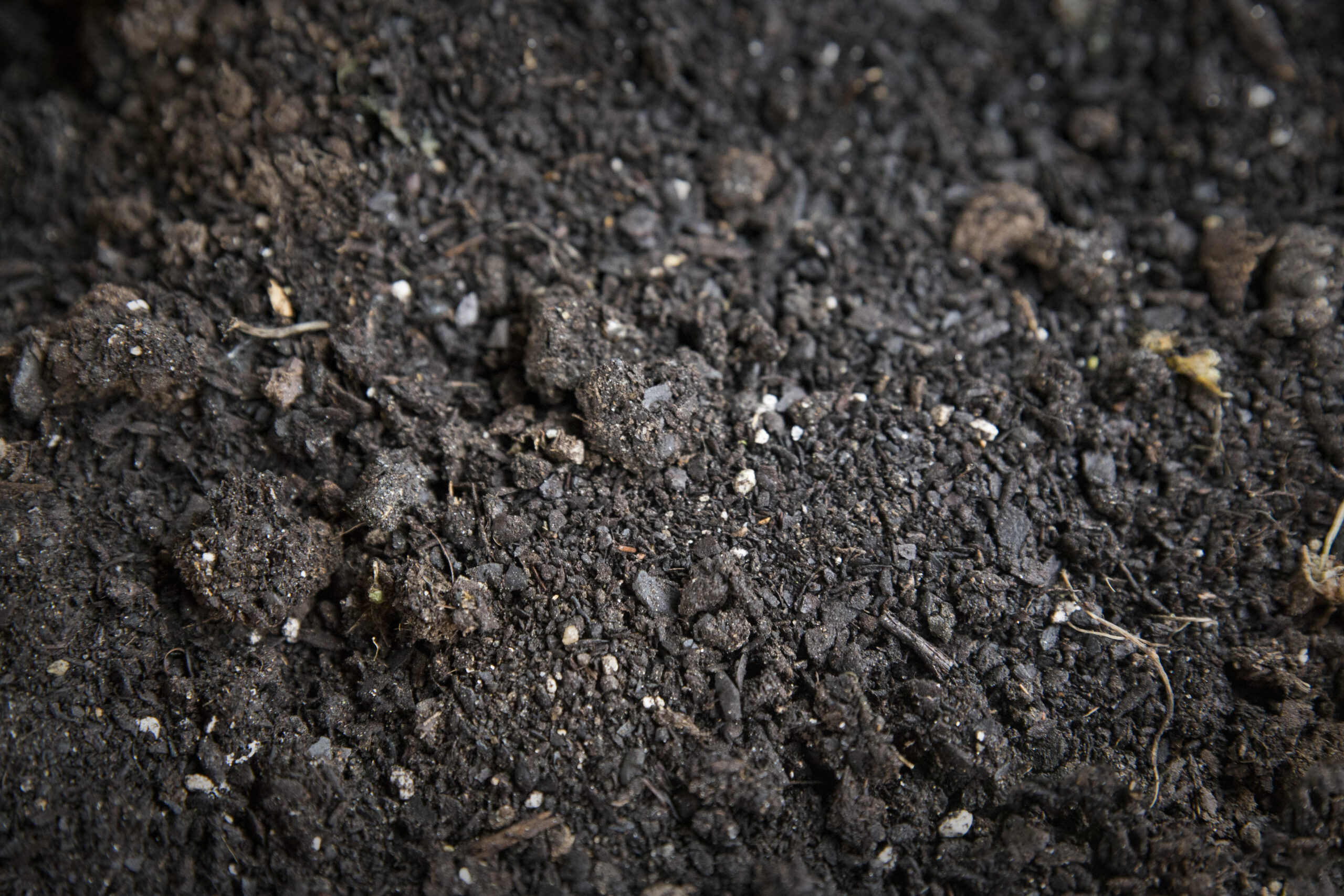 Terra preta, which can be used for gardening