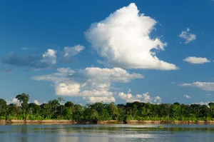 The Amazon river The Amazon river