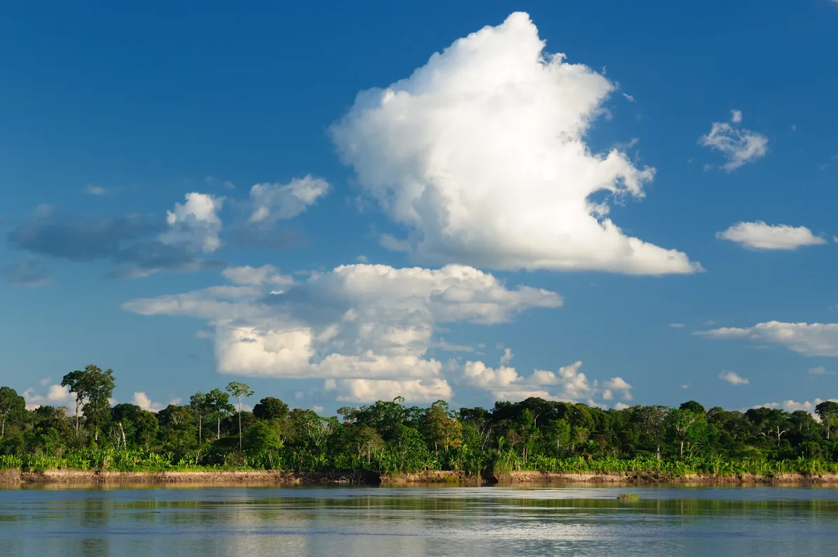 The Amazon river The Amazon river
