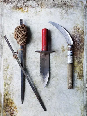 Garden experts must have tools Garden experts must have tools