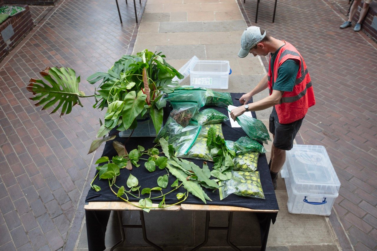 Harry Murdoch plant reuse coordinator accessing the cuttings at Barbican Conservtory
