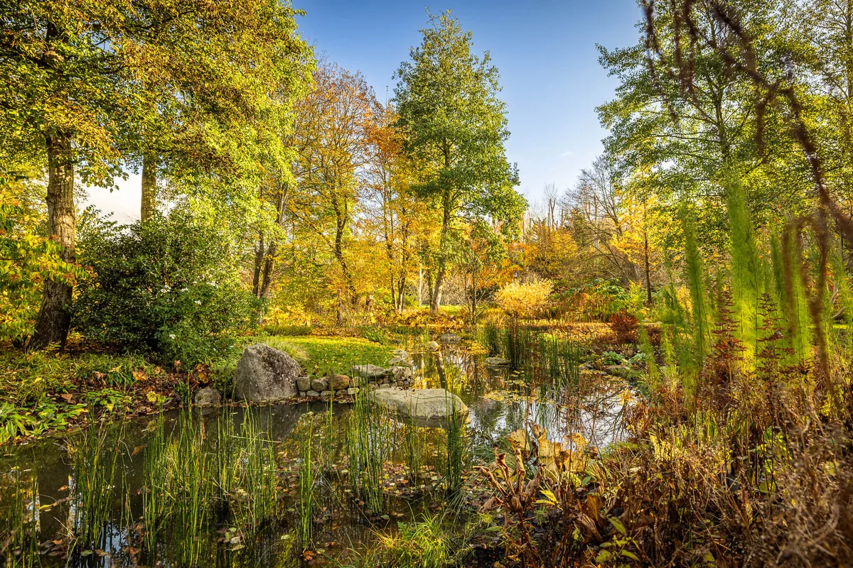 SGD Garden of the Year, designed by Sarah Eberle SGD Garden of the Year, designed by Sarah Eberle