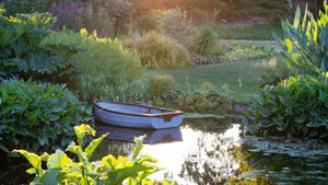 The Water Garden at Beth Chatto's Gardens The Water Garden at Beth Chatto's Gardens