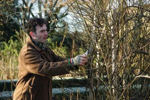 Winter jobs in the garden: expert advice from Sissinghurst Winter jobs in the garden: expert advice from Sissinghurst