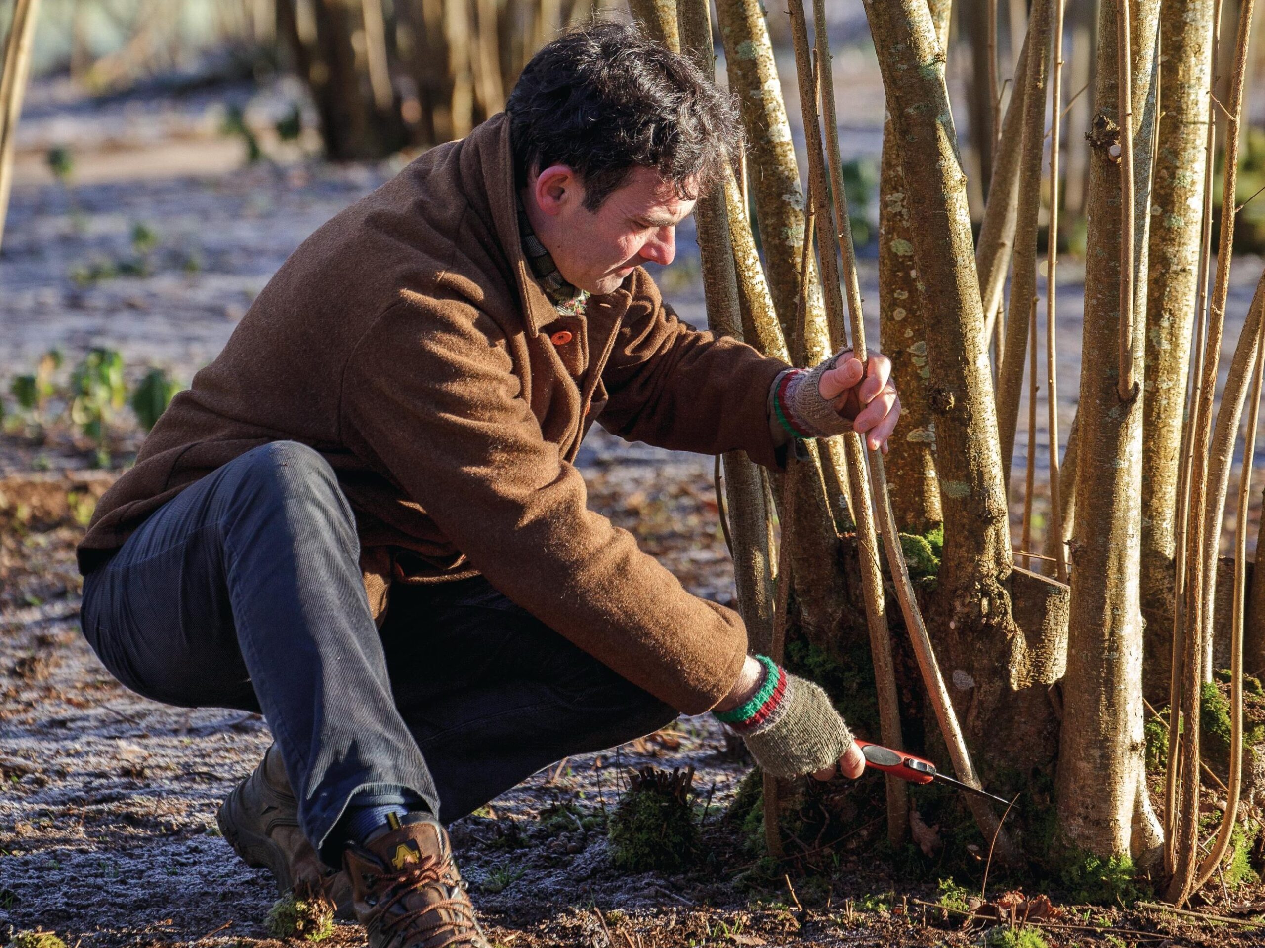 Man coppicing hazel