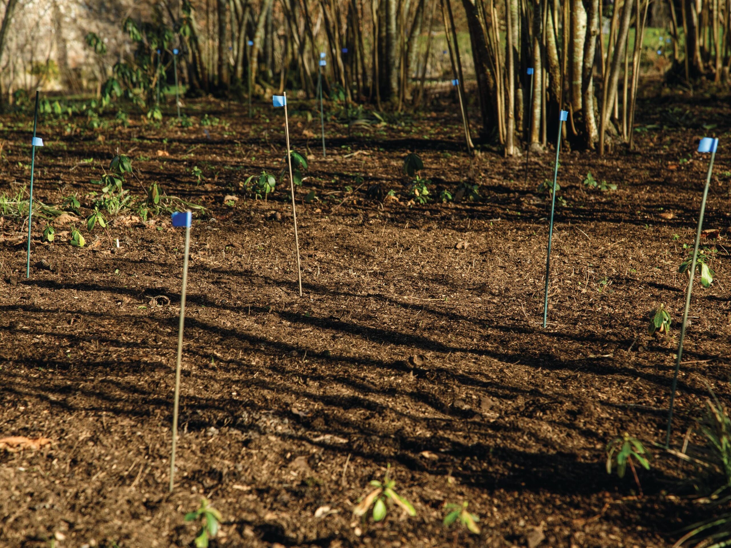 Garden markers