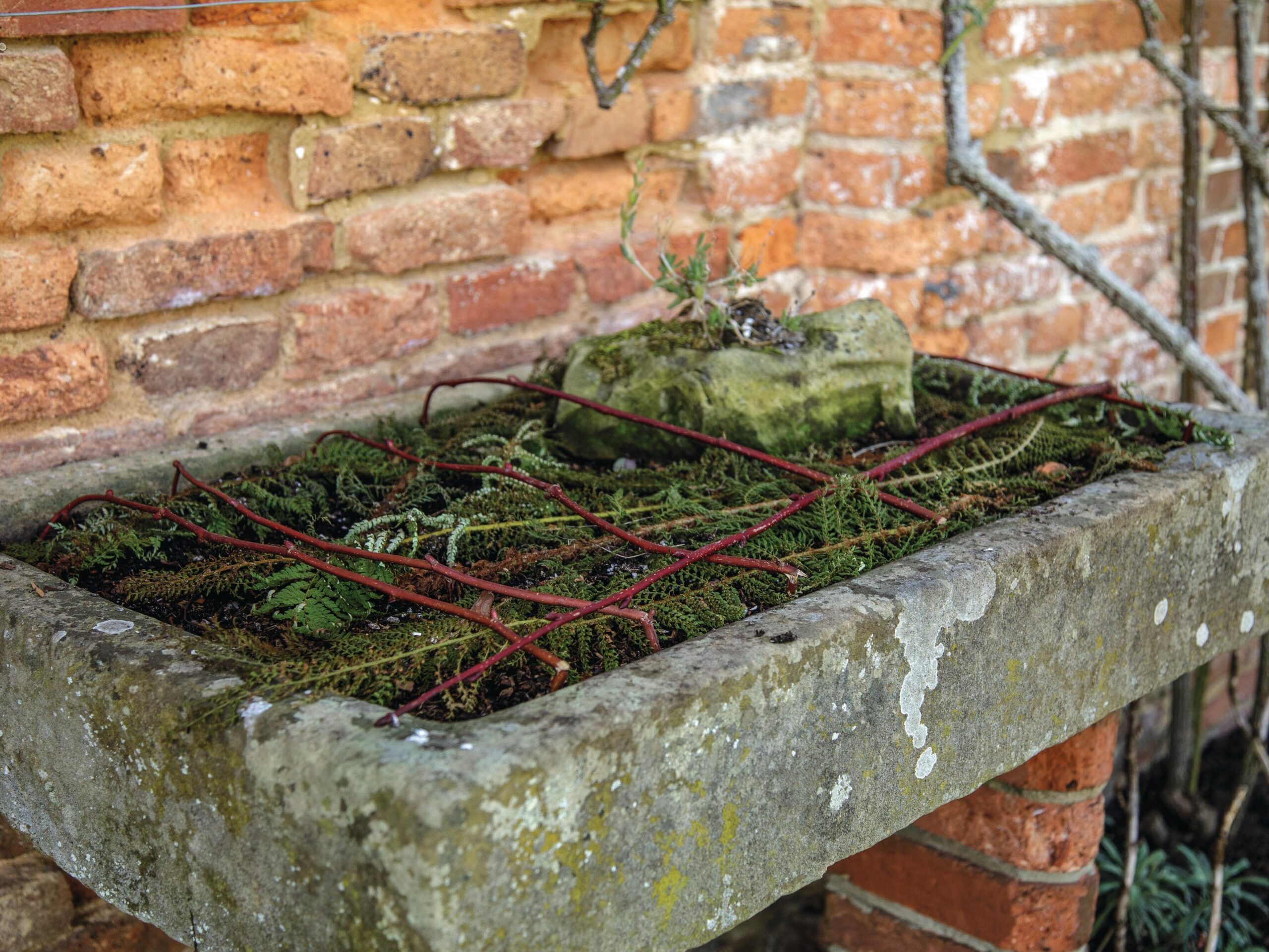Planter with bulbs
