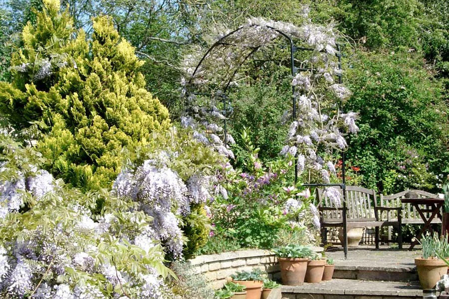 Agriframes monet arch in a garden