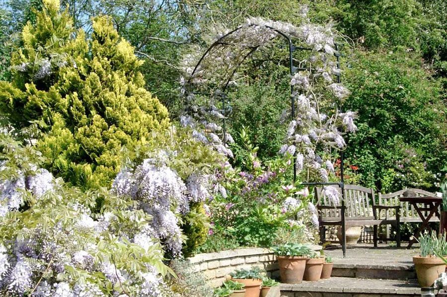 Agriframes monet arch in a garden