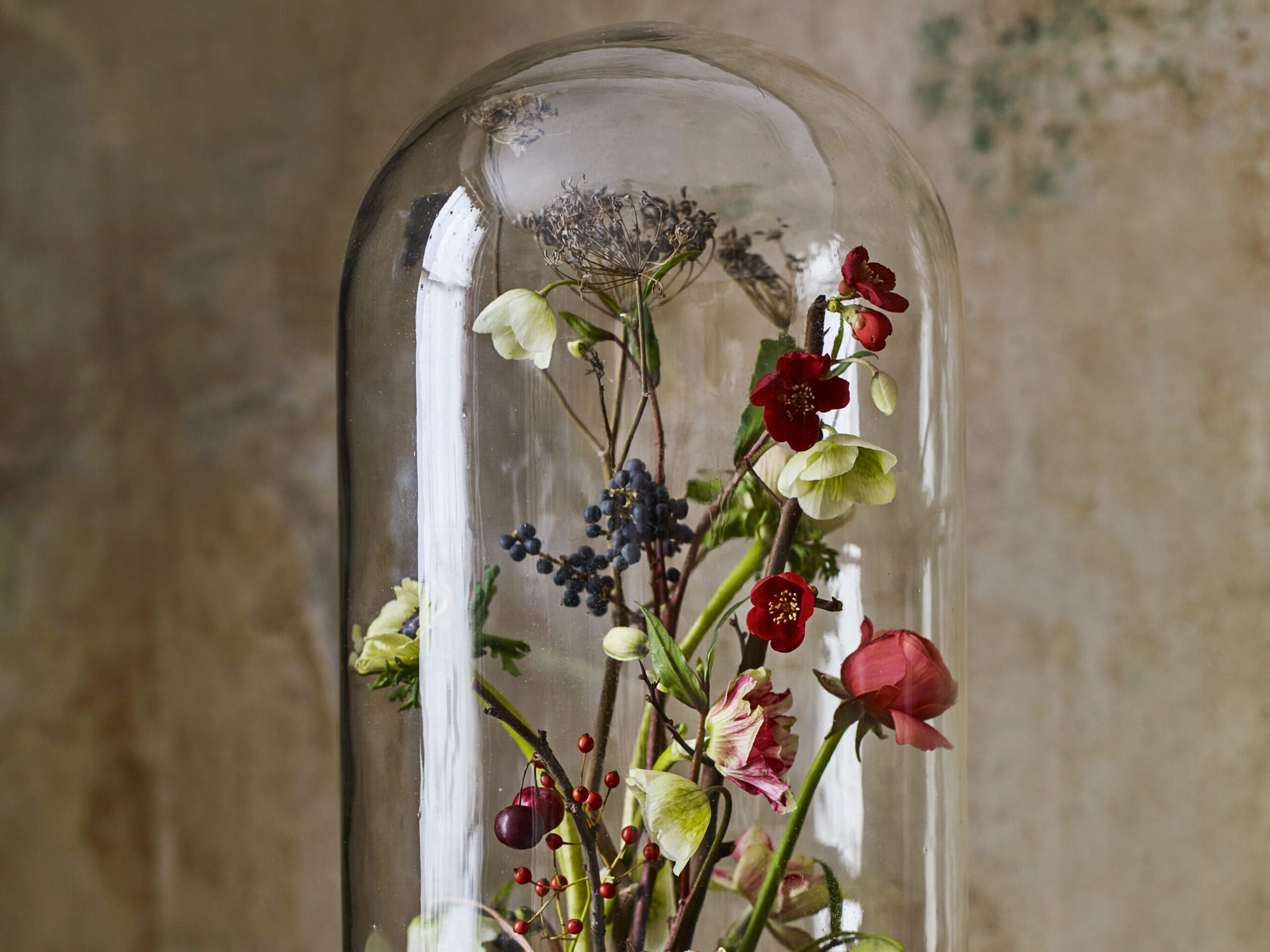 A Christmas Cloche made my Swallows and Damsons