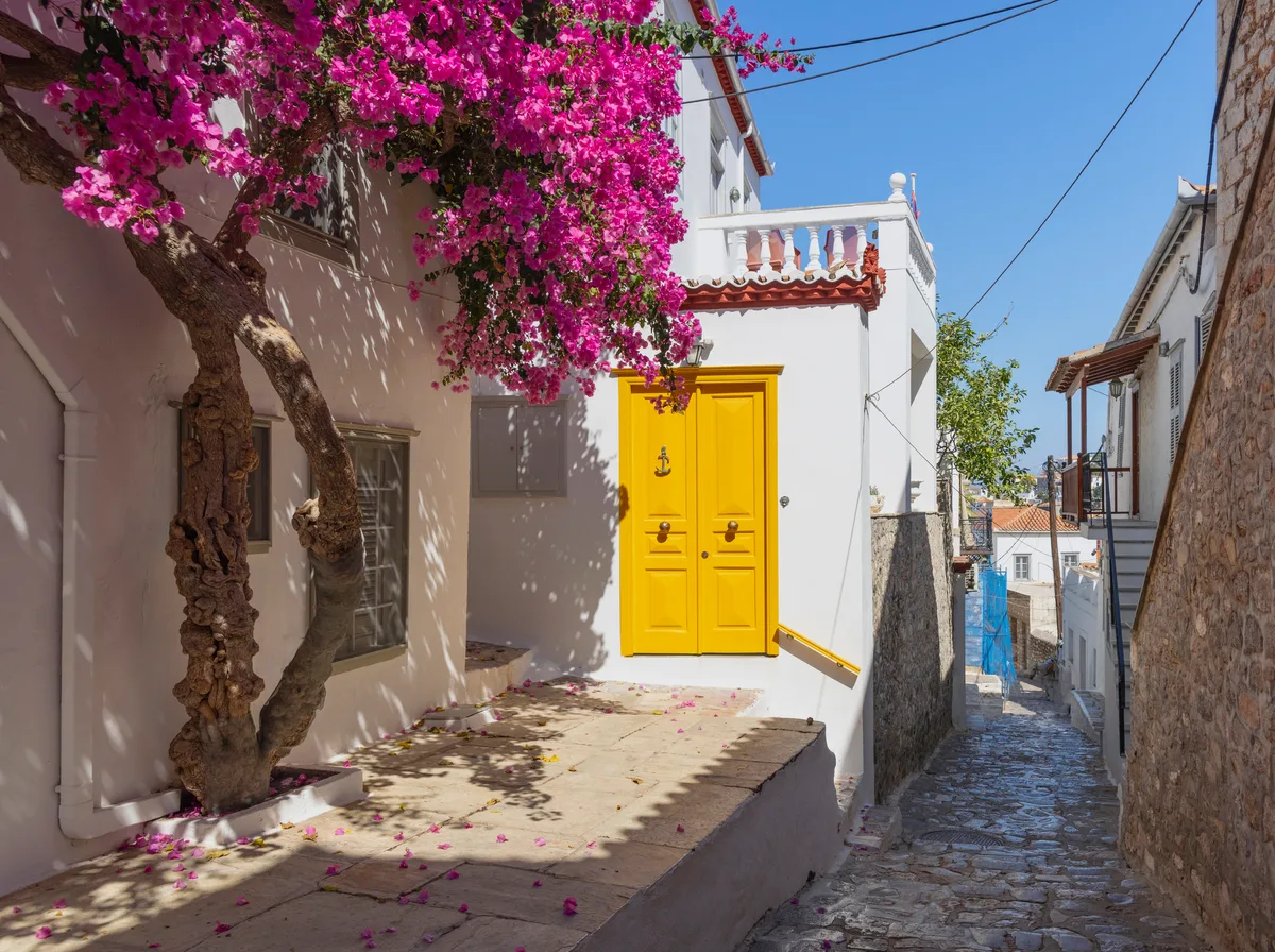 Charming Hydra street with vibrant bougainvillea and doors Strolling through Hydra, Greece reveals narrow cobblestone paths lined with whitewashed houses adorned with colorful bougainvillea. The striking yellow doors stand out against the vibrant backdrop.