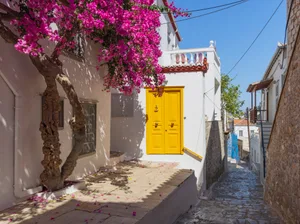 Charming Hydra street with vibrant bougainvillea and doors Strolling through Hydra, Greece reveals narrow cobblestone paths lined with whitewashed houses adorned with colorful bougainvillea. The striking yellow doors stand out against the vibrant backdrop.
