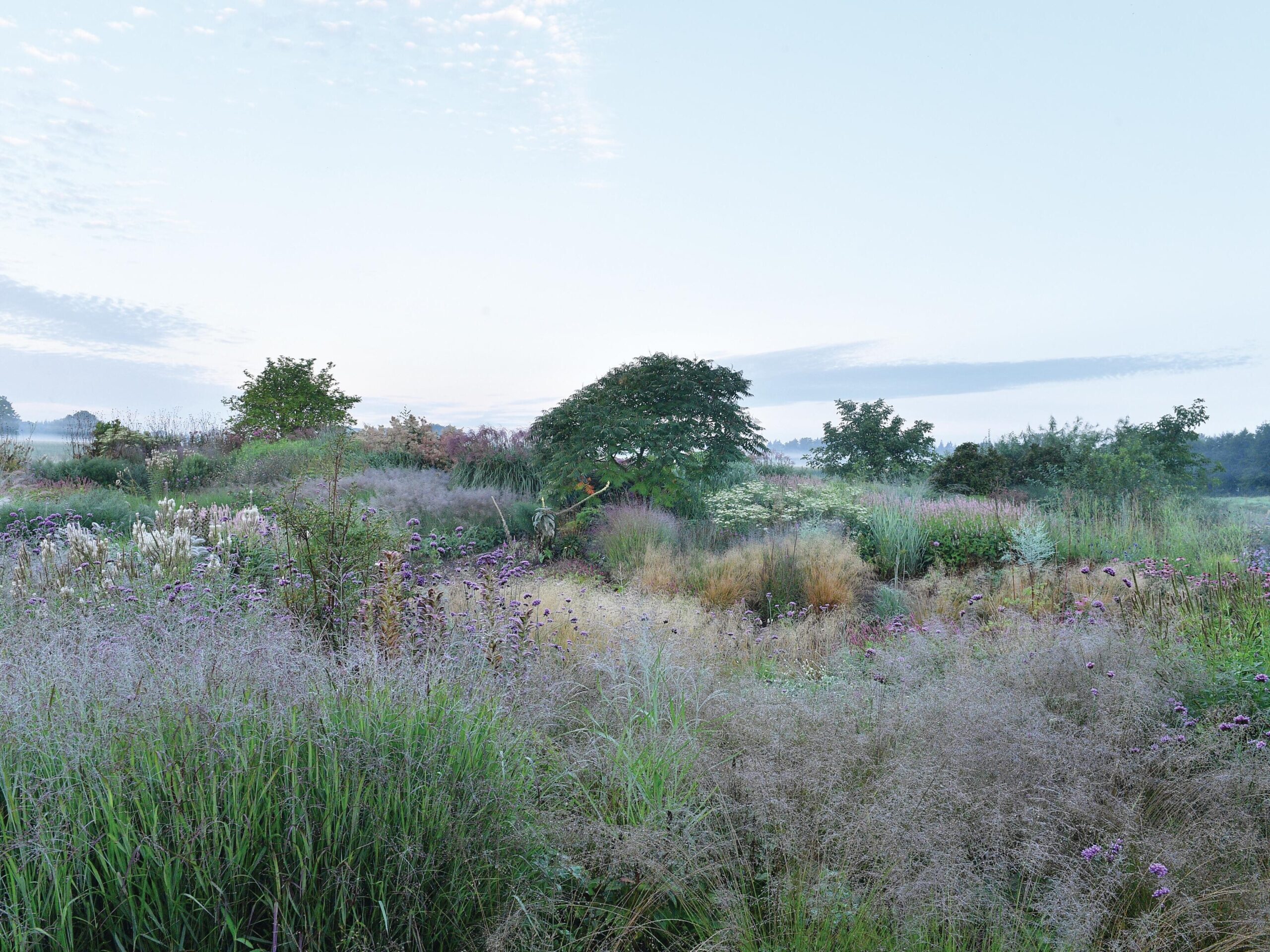 Garden in bloom with shrubs and trees