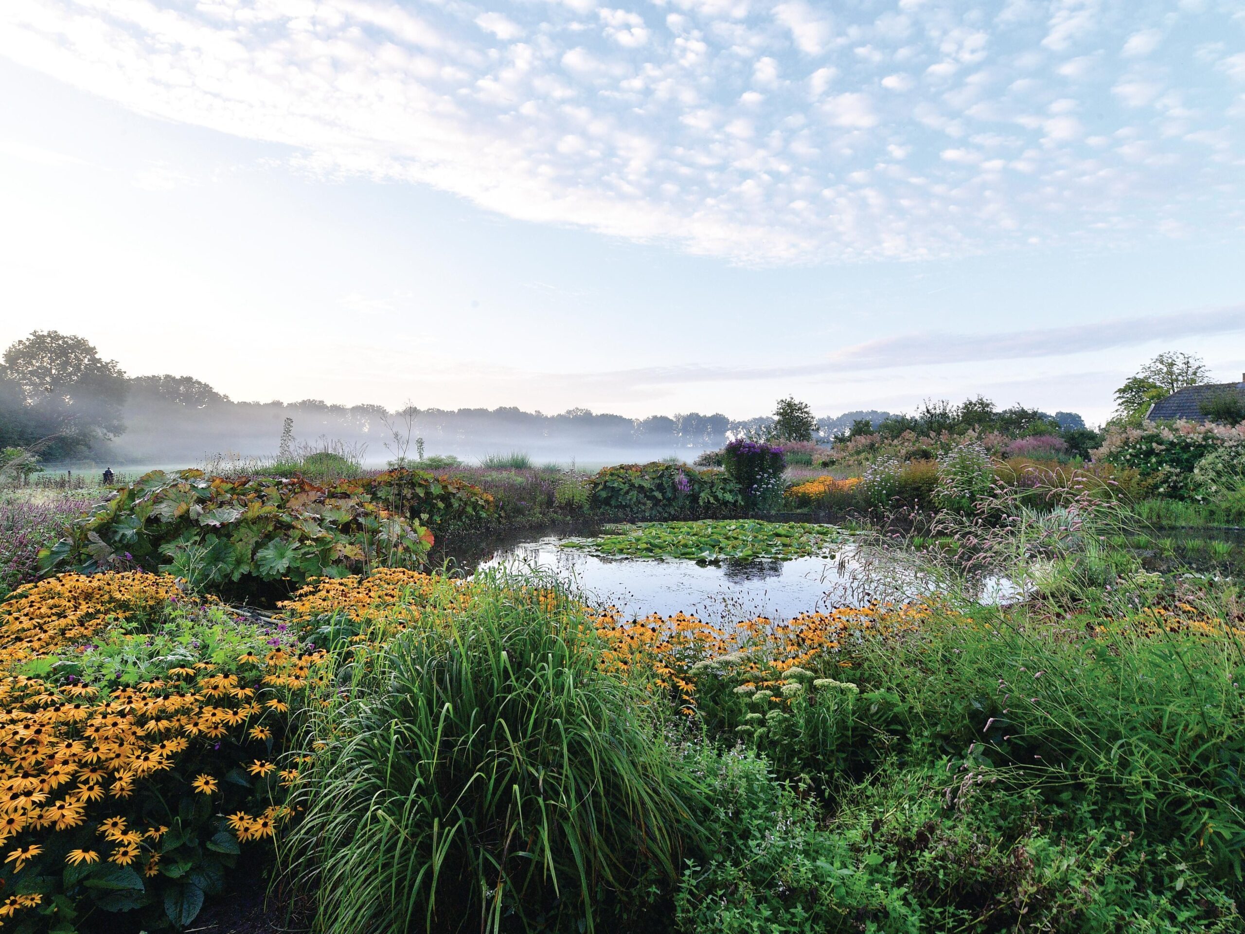 Garden in bloom with a large water-lily pond