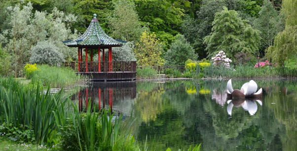Himalayan water garden