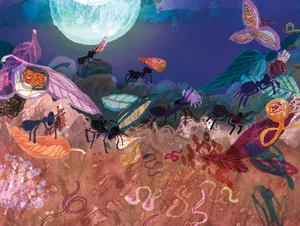 Invertebrates Invertebrates