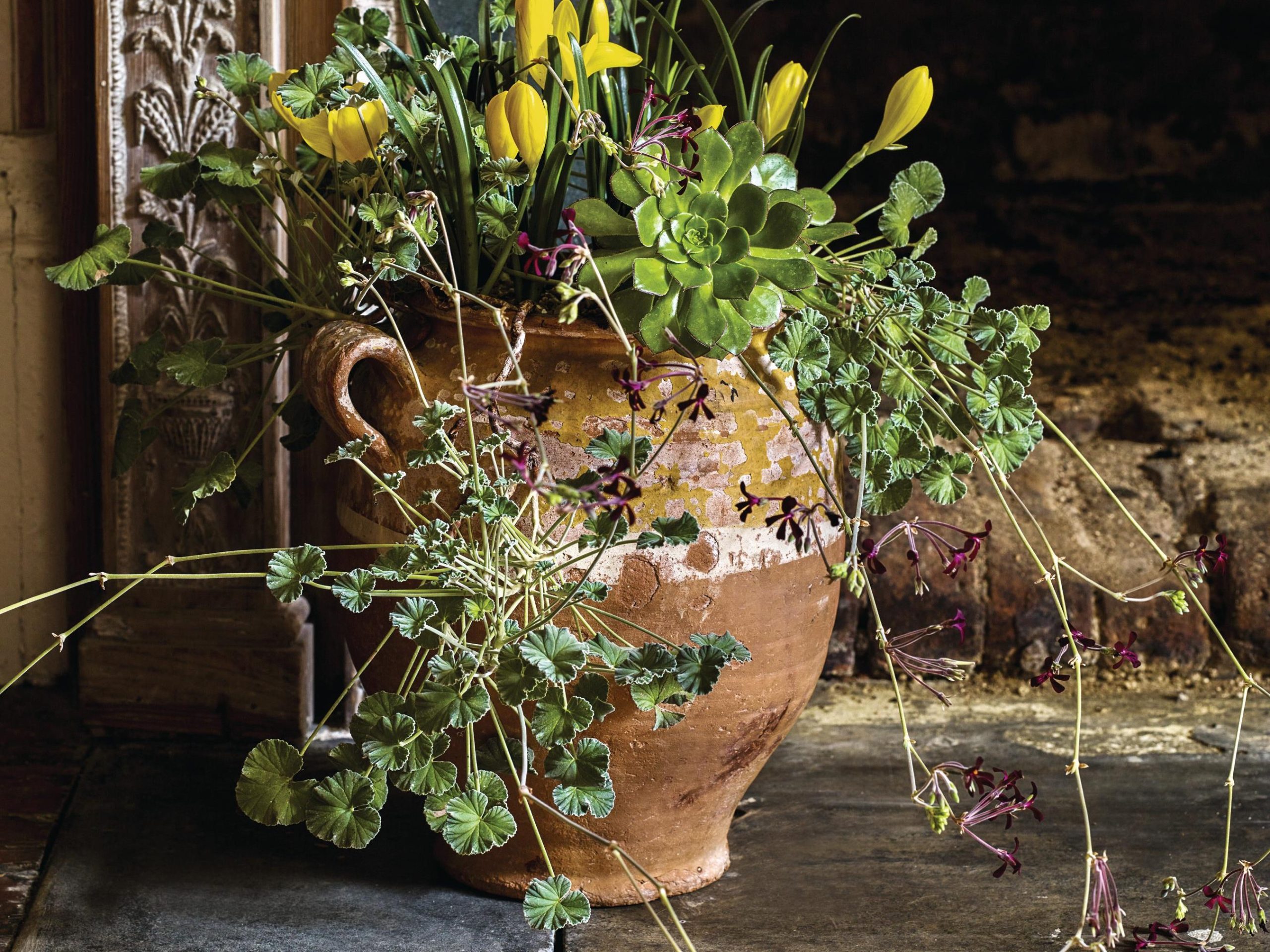 plant pot