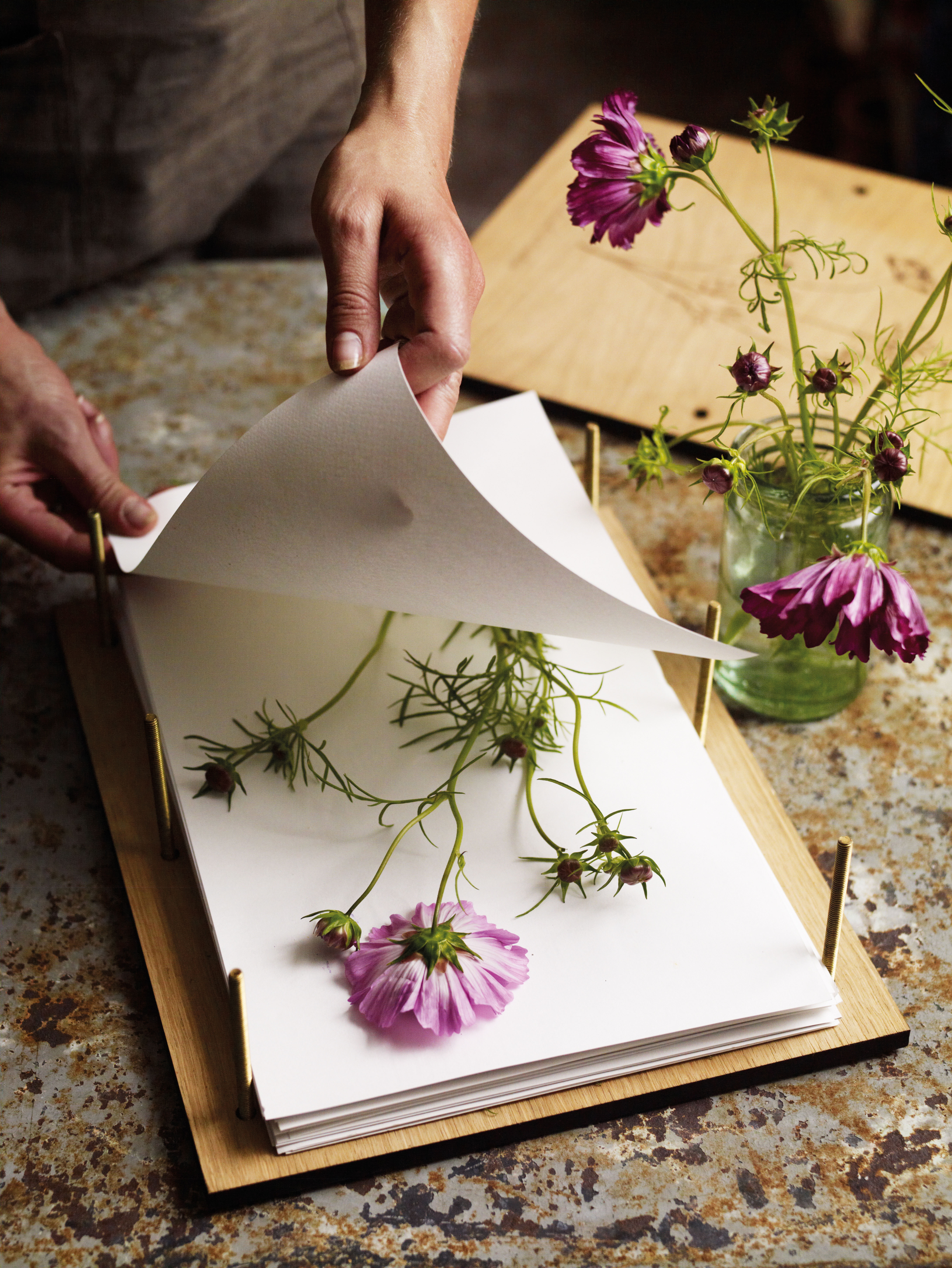 Pressing flowers