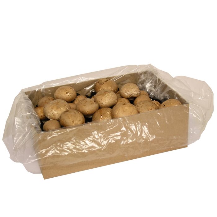 chestnut mushroom growing kit