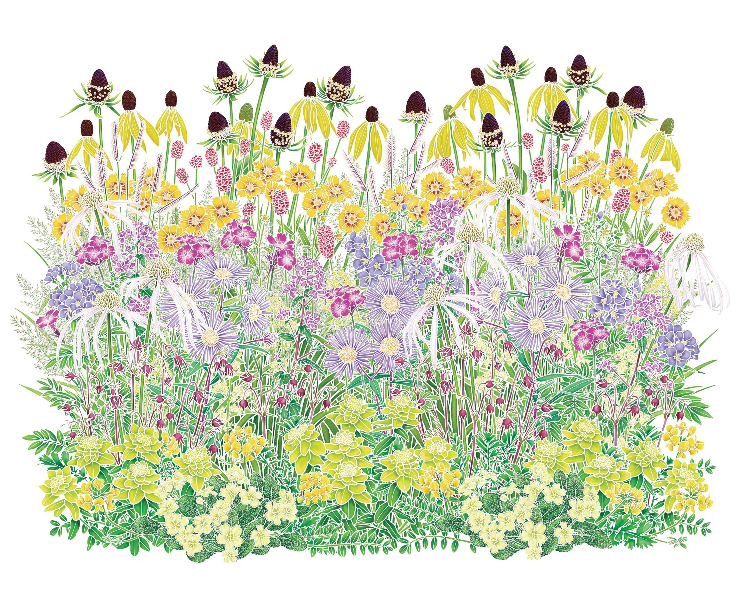 A seeded perennial meadow planting scheme