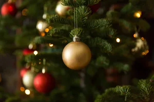 Christmas tree care Christmas tree care