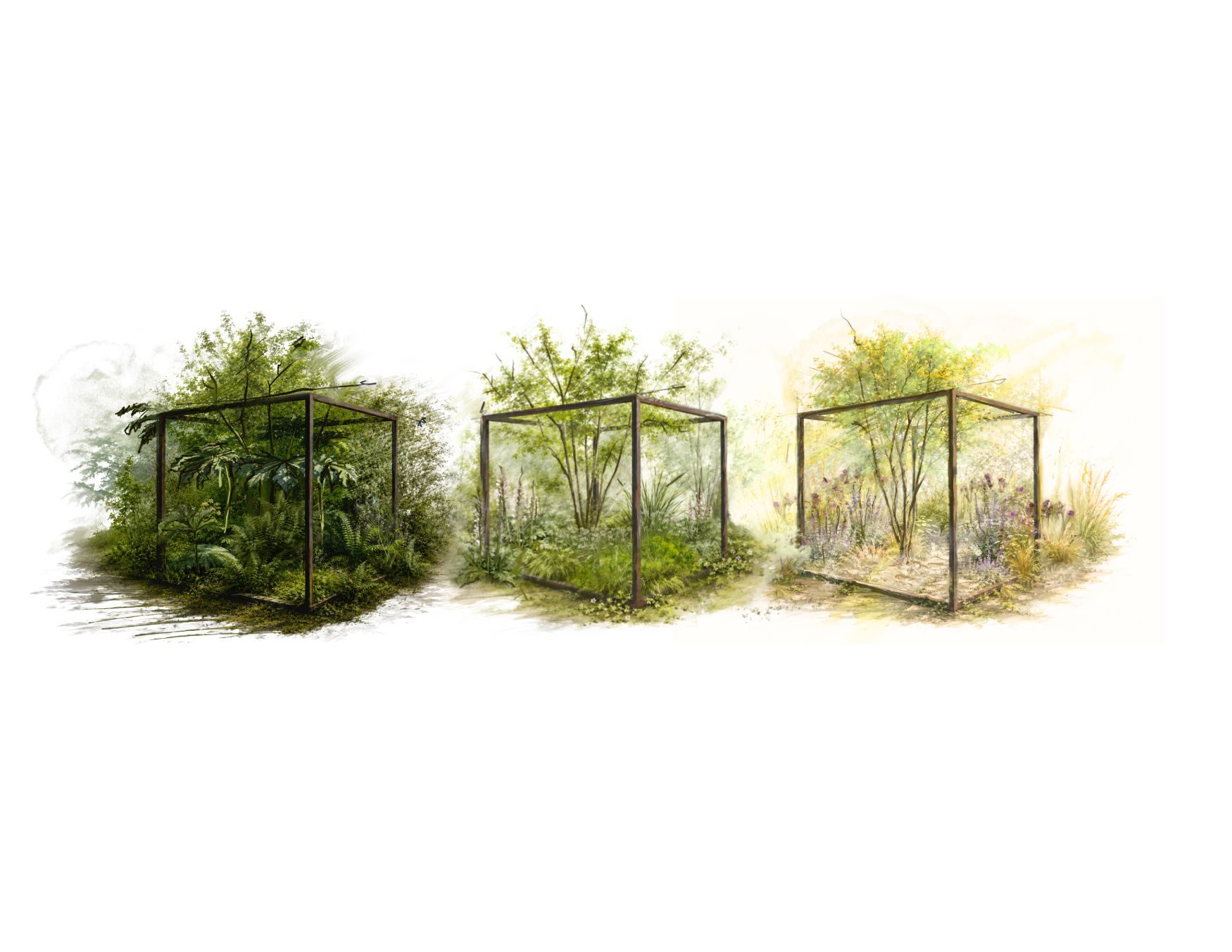 Out of the Shadows by Jamie Butterworth and Will Young (L-R Beneath the Canopy, Where the Light Falls, Into the Open). Image credit: William Nathan