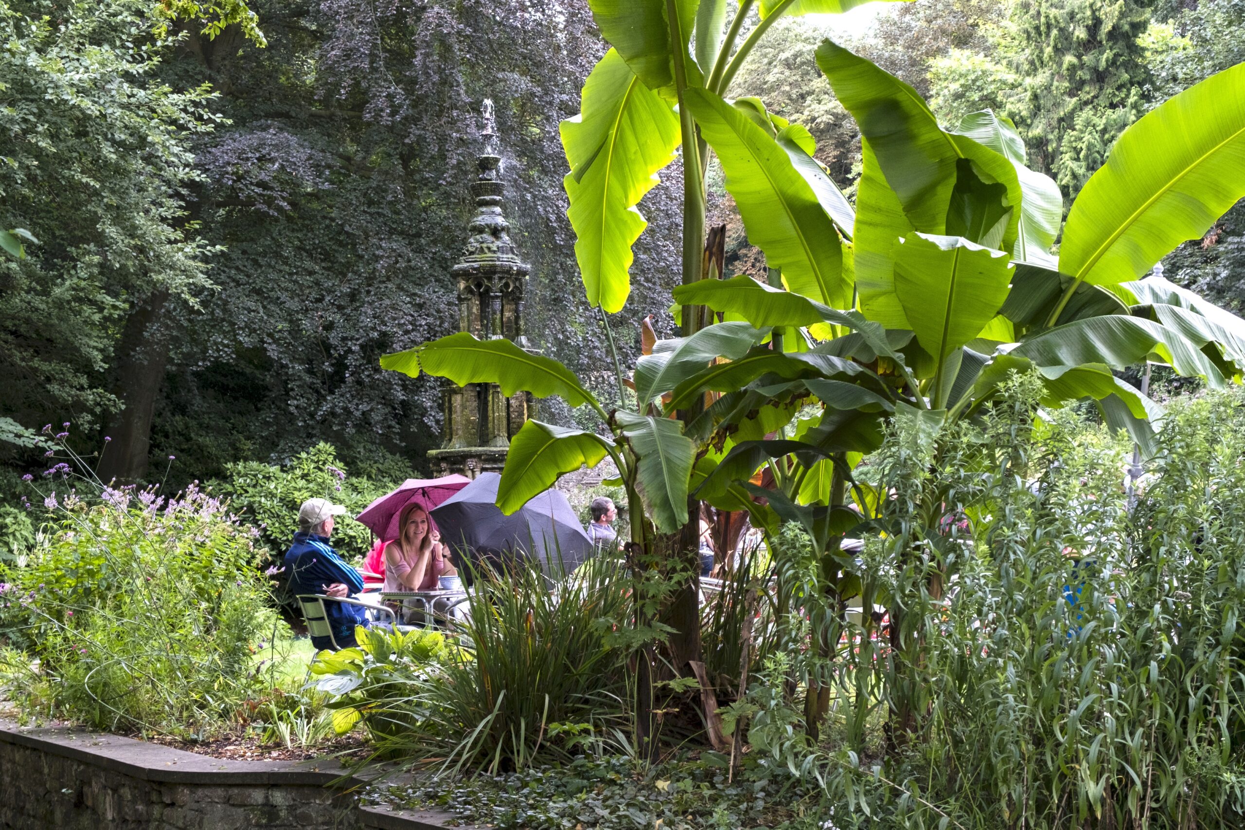 The Plantation Garden, Norwich