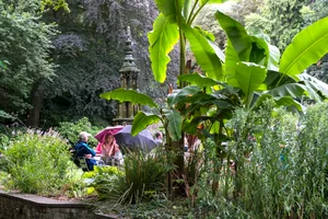The Plantation Garden, Norwich The Plantation Garden, Norwich