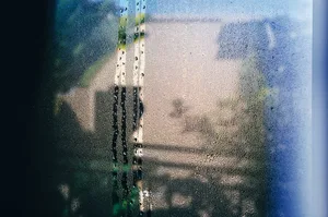 House plants and condensation © Unsplash / Randy Laybourne House plants and condensation © Unsplash / Randy Laybourne