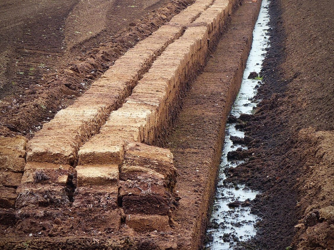 Bricks of peat in a peatland area