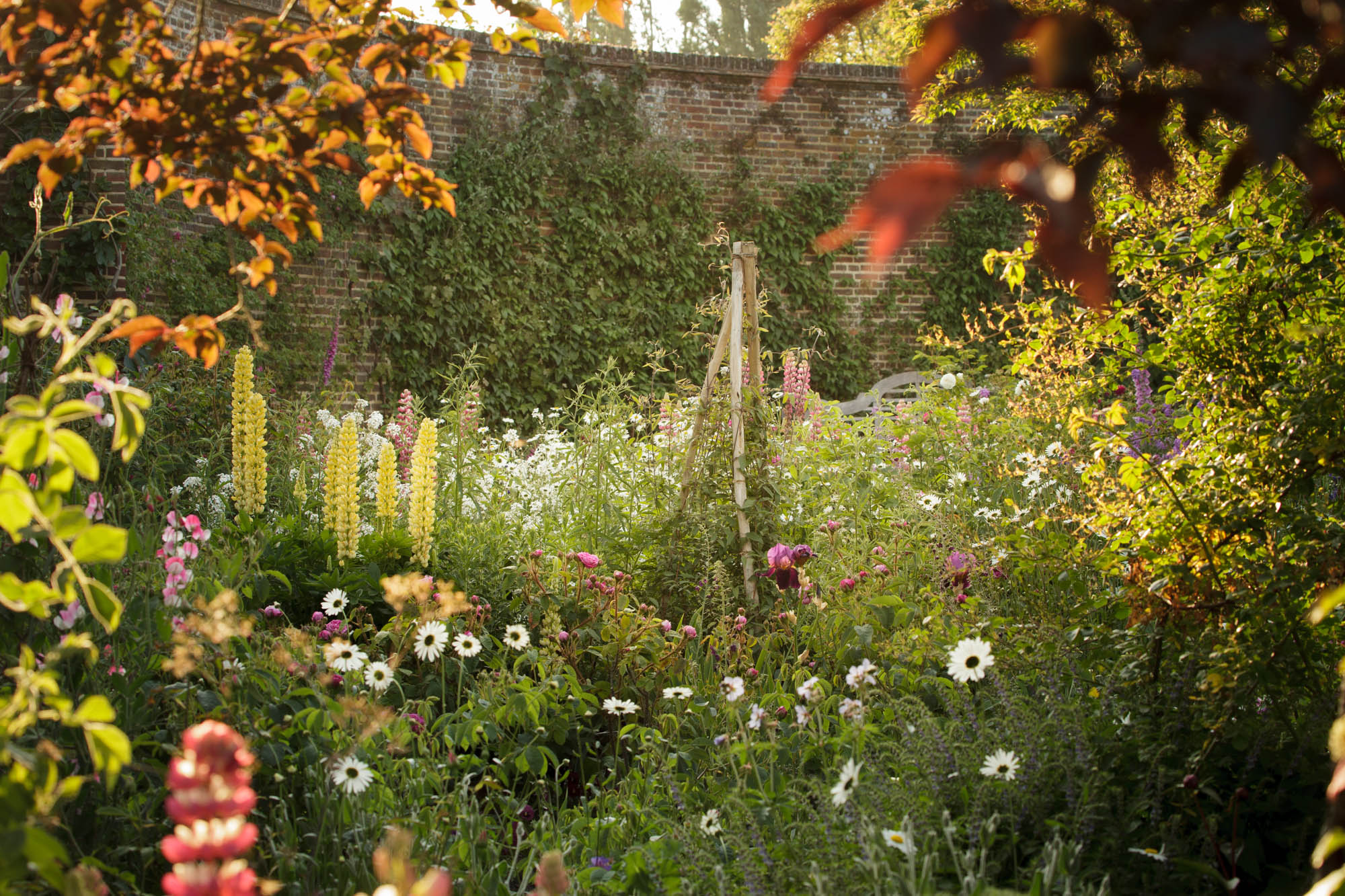 The Rose Garden at Sissinghurst