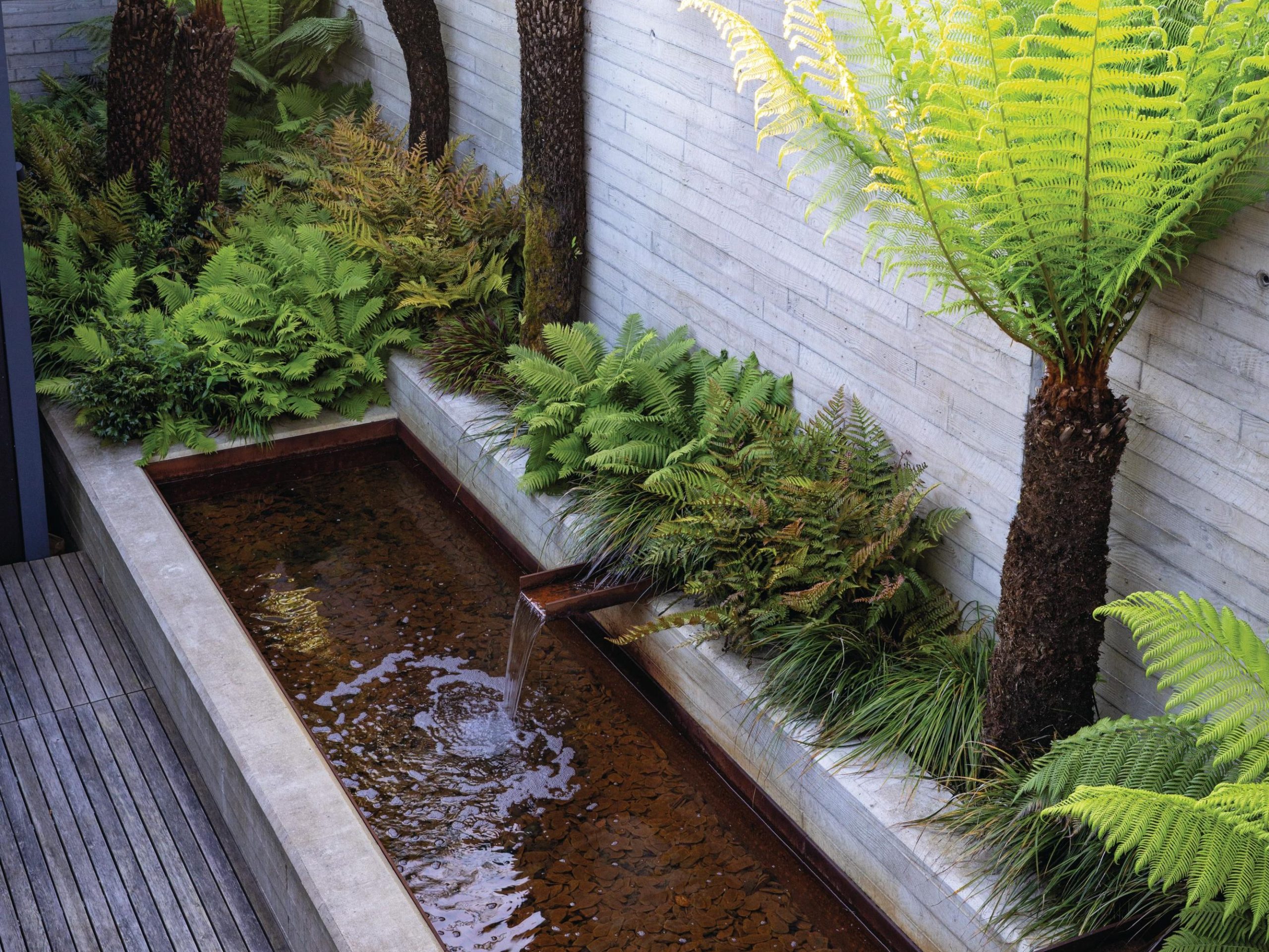Graden wall and water feature