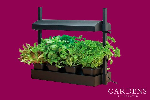 Grow Light Garden on a pink background