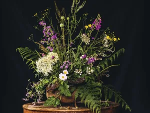 Weeds arranged in a beautiful way Weeds arranged in a beautiful way
