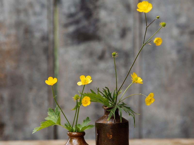Buttercups
