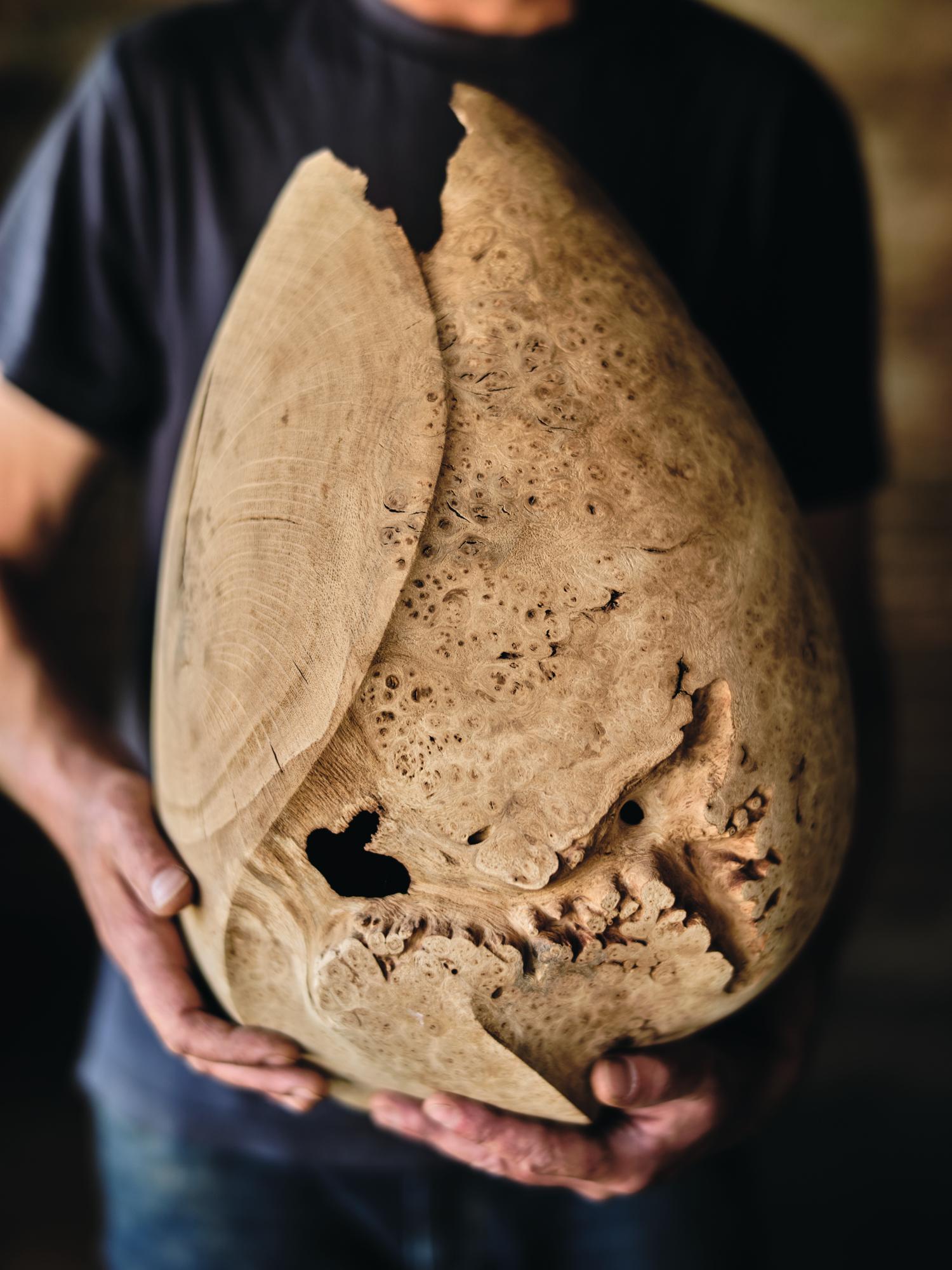Nic Webb wood artist feature
