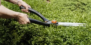 Hedge trimming Hedge trimming