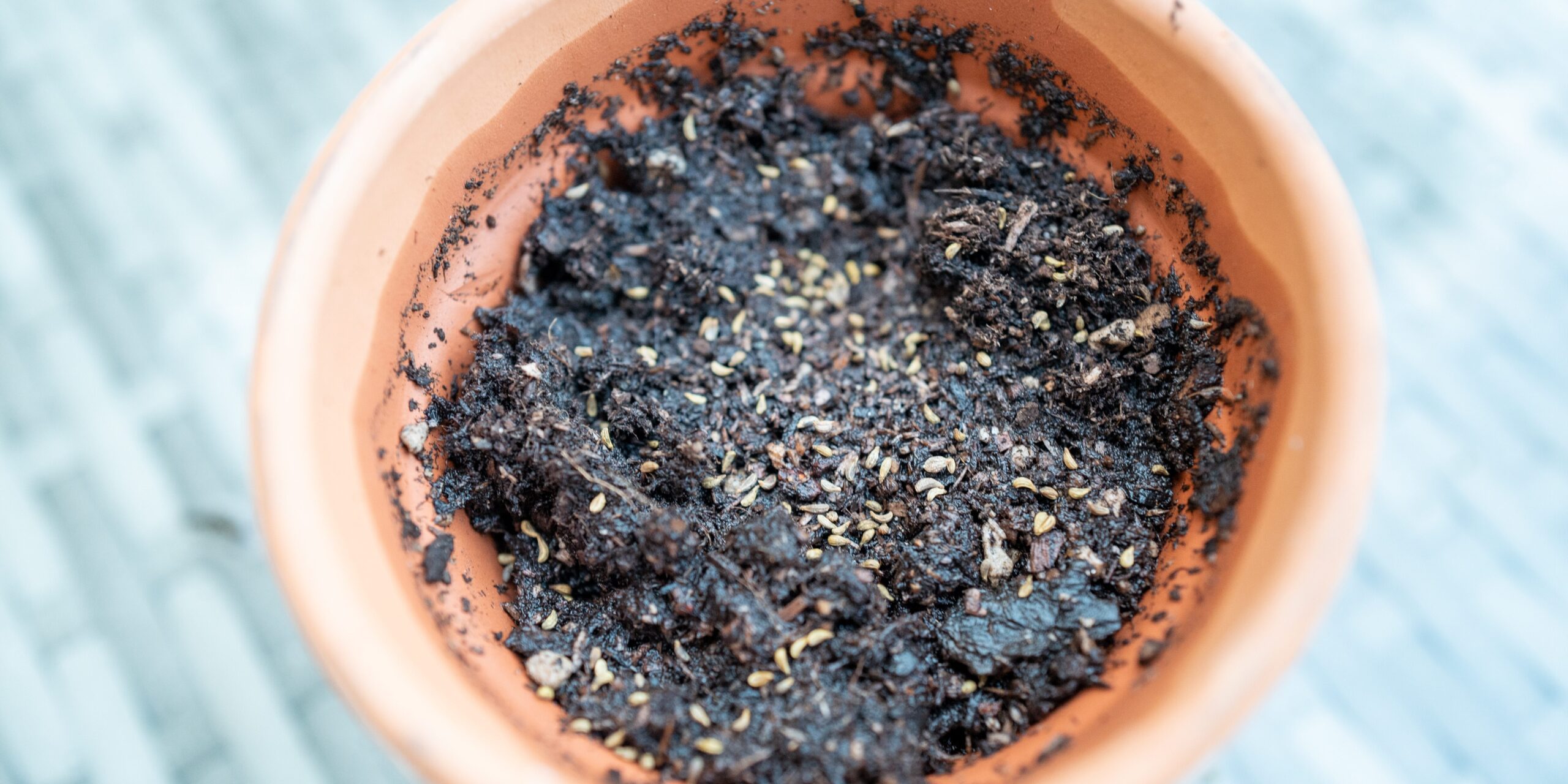 Seed planting