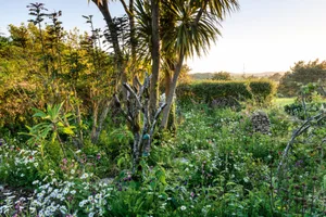 Sid Hill Forest Garden, Cornwall Sid Hill Forest Garden