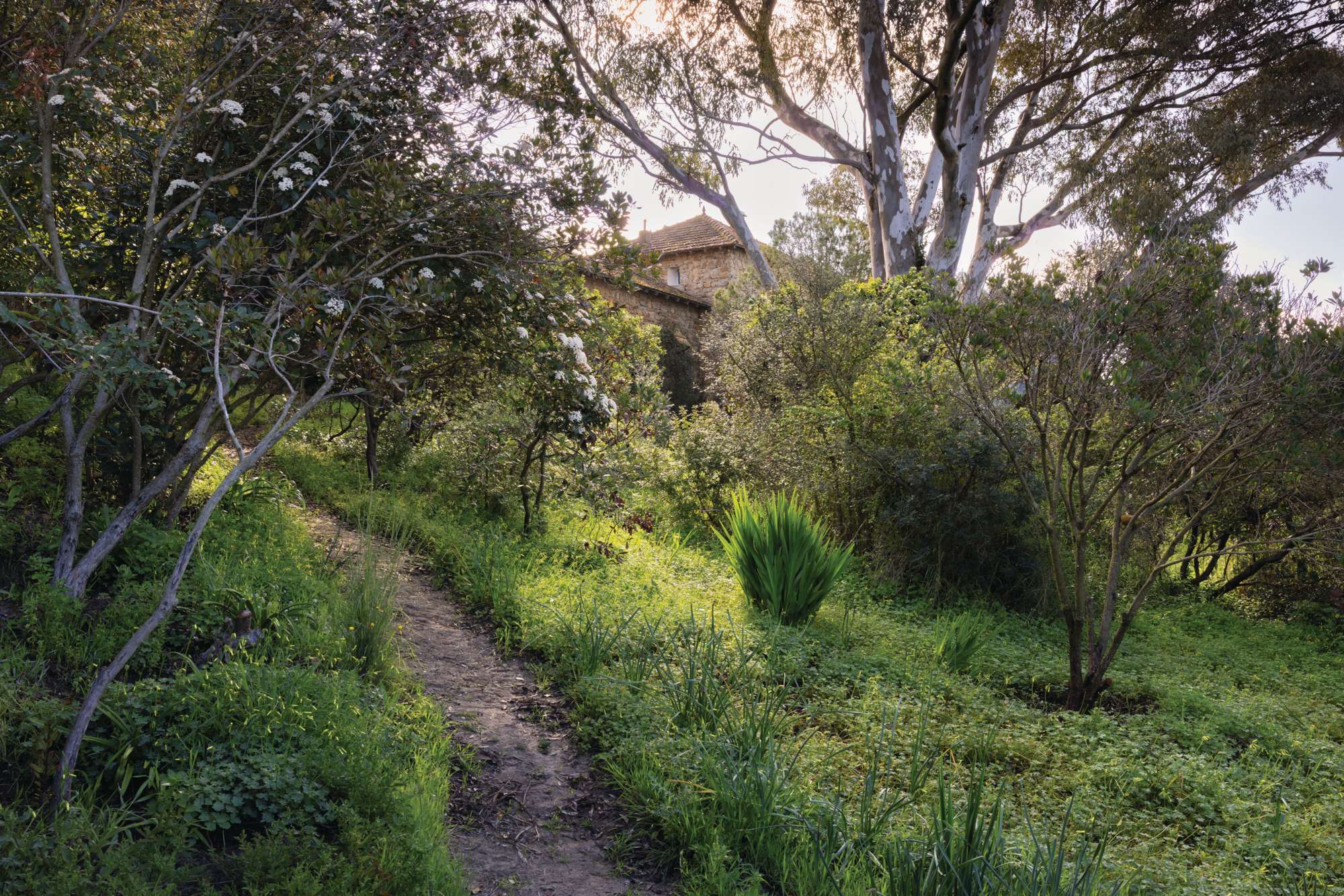 Rohuna gardens in Morocco