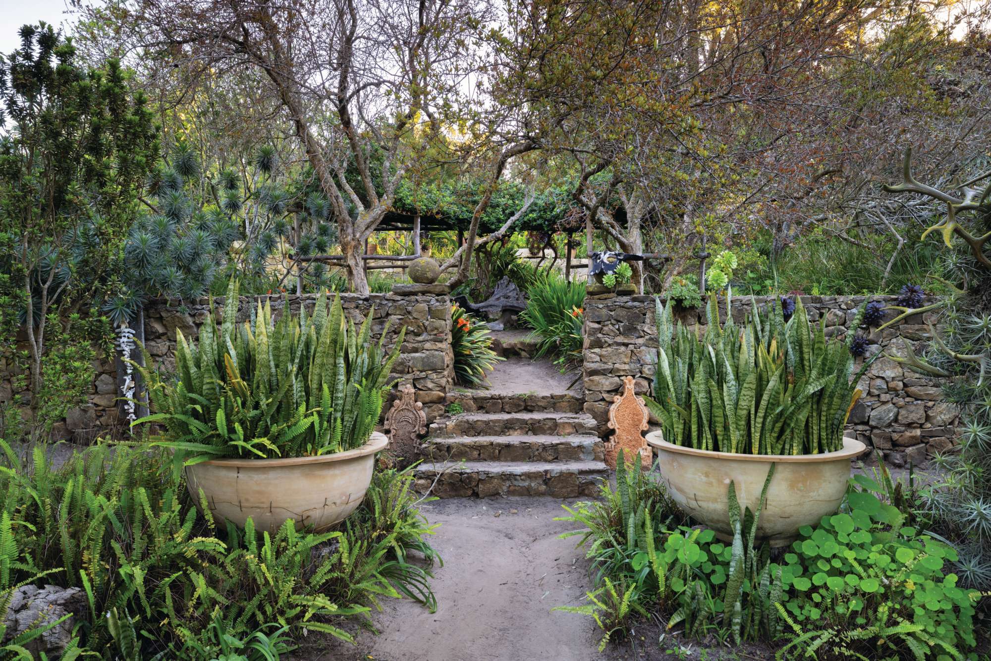Rohuna gardens Morocco