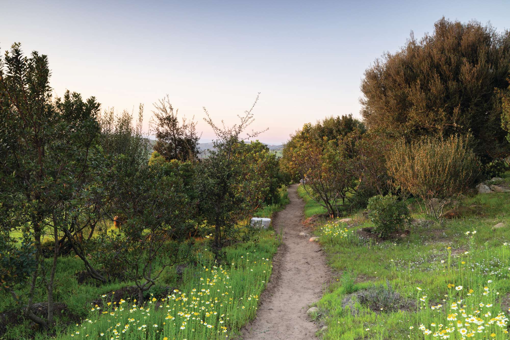 Rohuna gardens Morocco